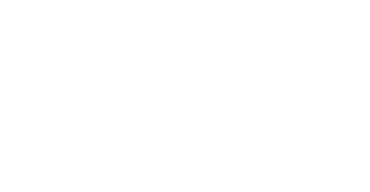Logo e-blin